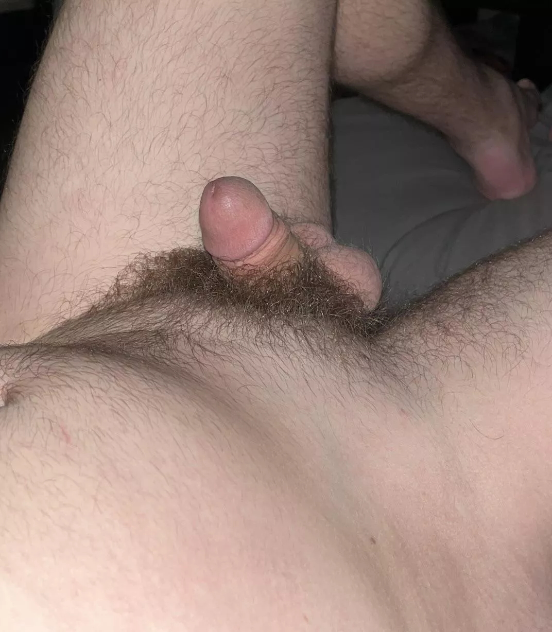 Softy posted by martinadler42