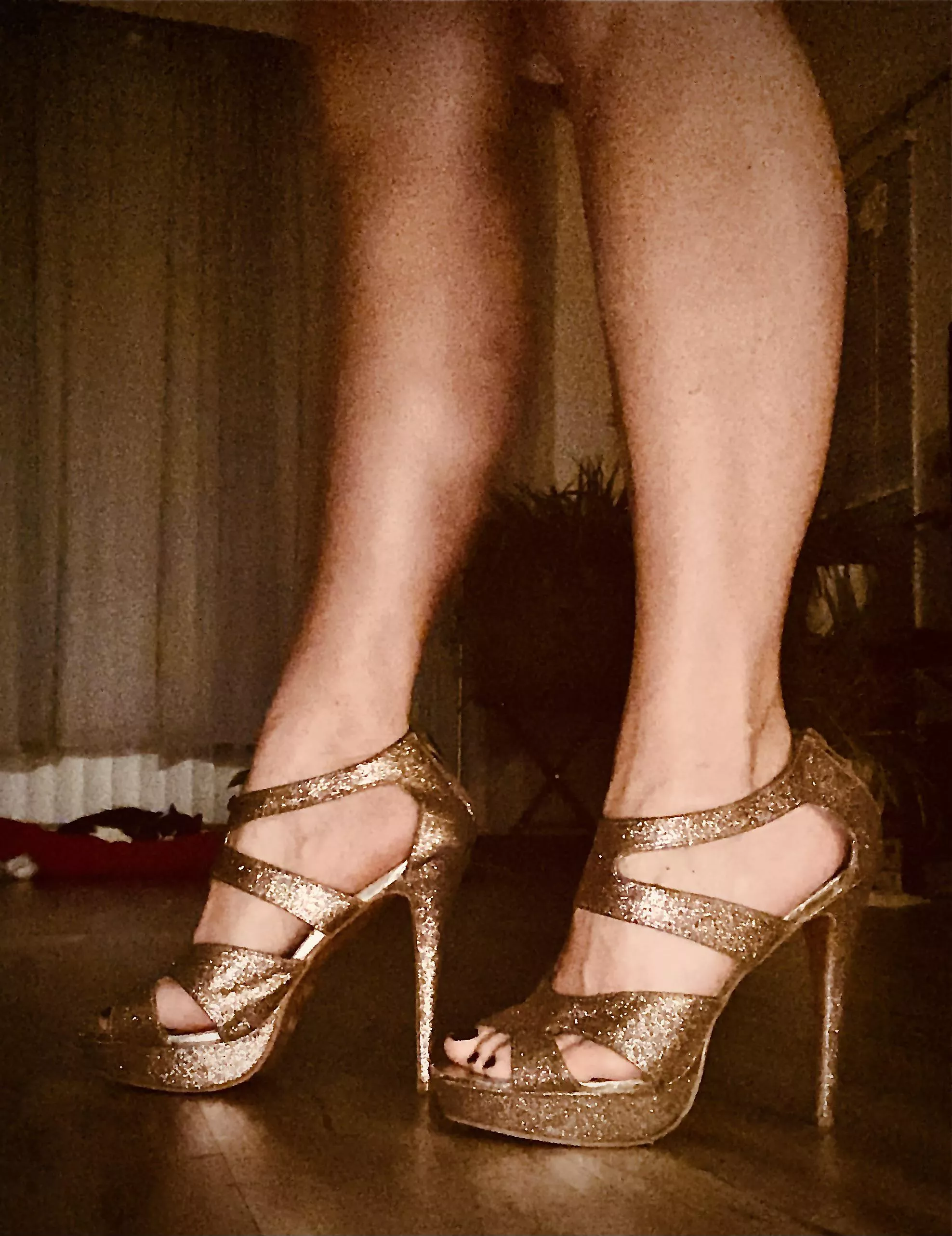 The only time I look down is to admire my shoes. posted by Aishadahava