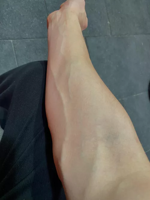 traceable by Otherwise_Key1150