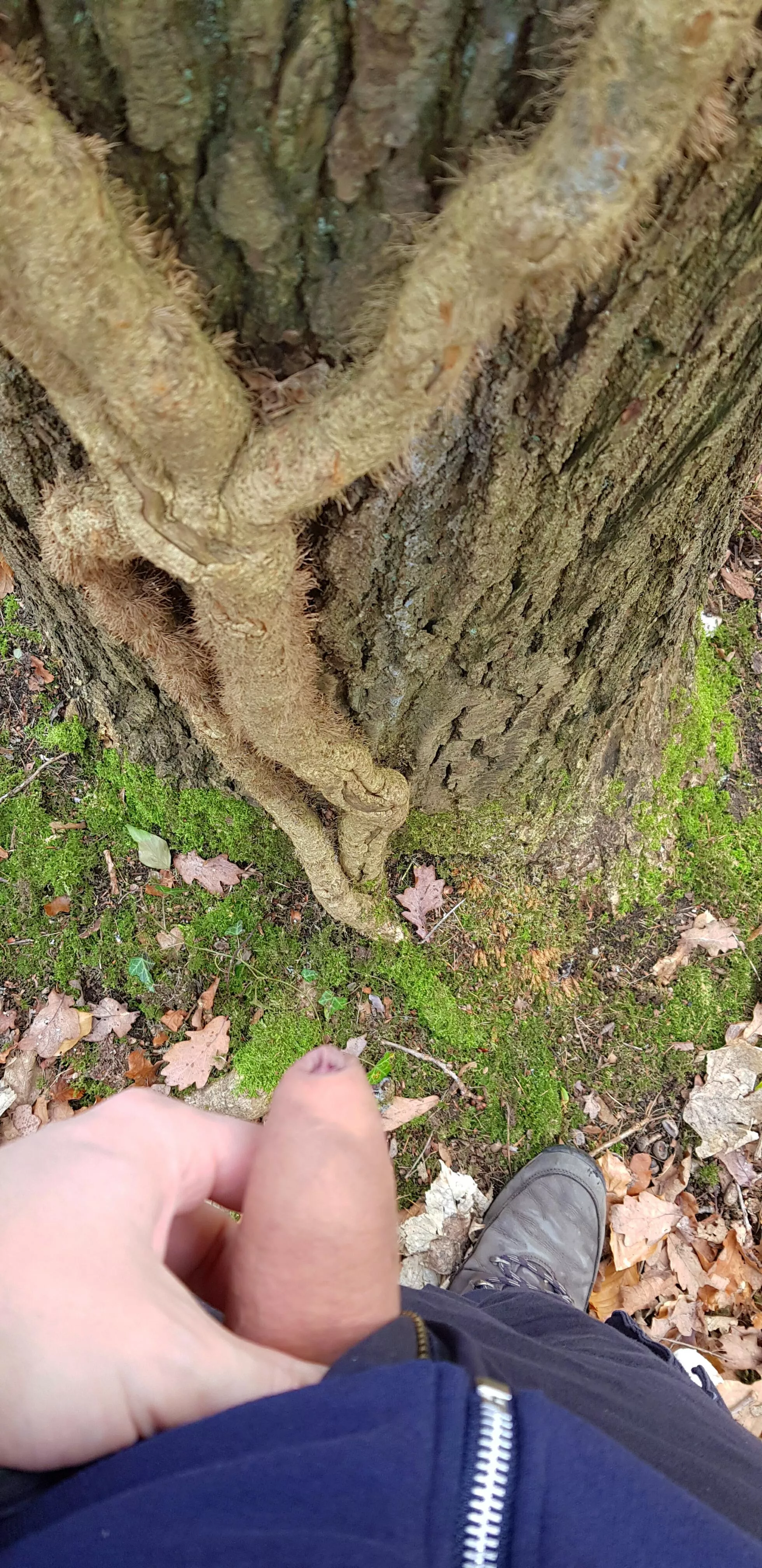 Yeah, don't laugh. It's still Winter and I live in Scotland 😅 posted by StarkTributes12