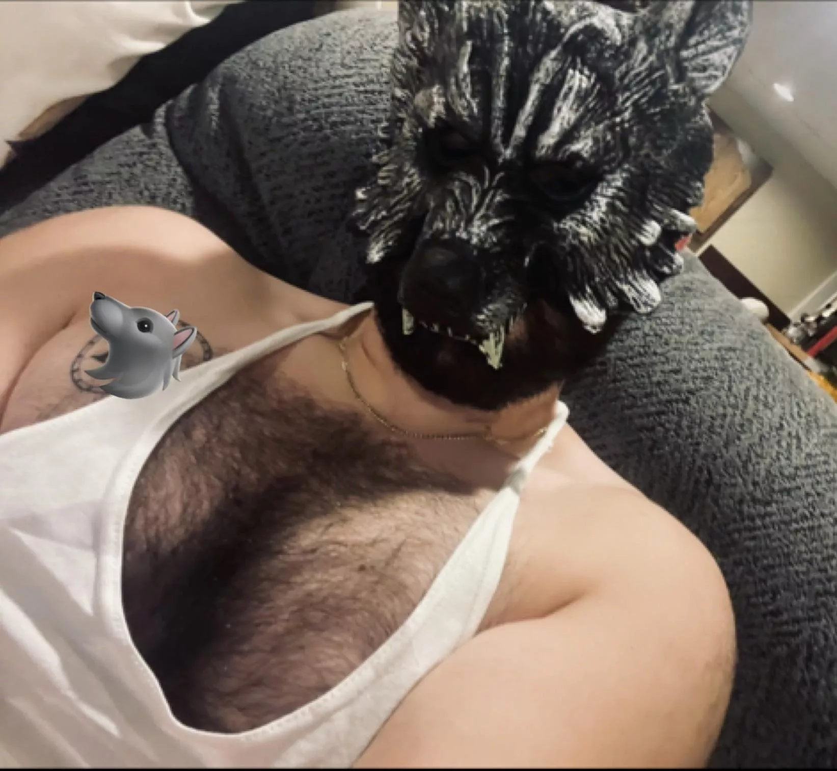 (20) used Halloween as an excuse to show off last year 🐺 posted by McDrai21