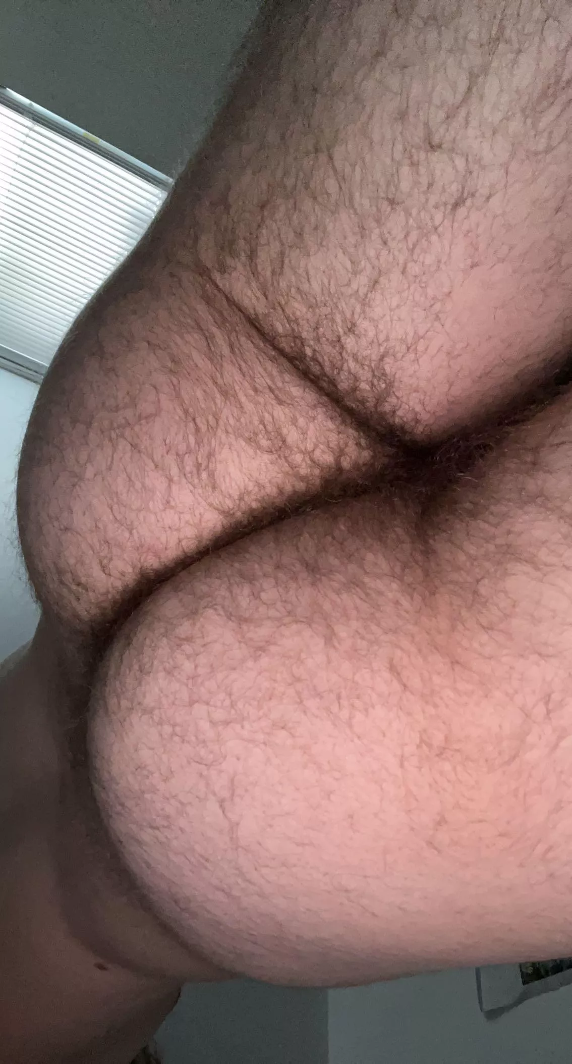 20 year old hairy ass! posted by D_S35