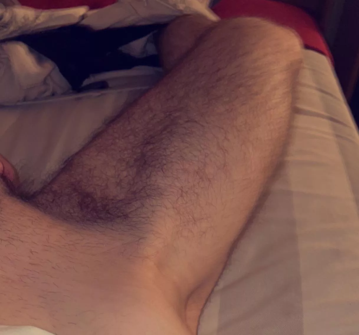 24 m , straight from Spain looking for bros to have some fun, add me: pabl_lop posted by No_Leadership9686