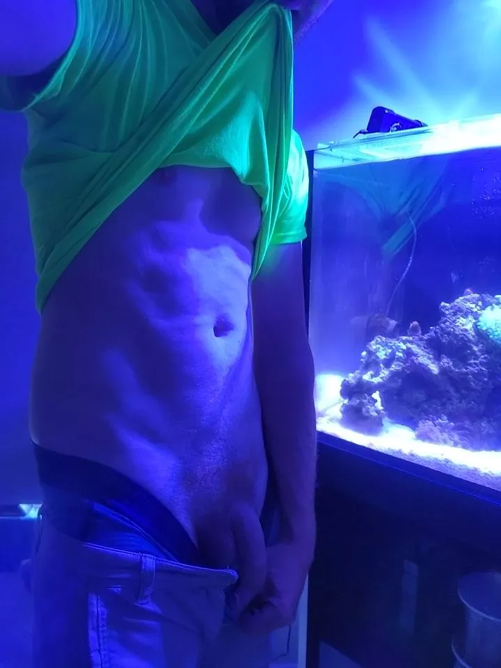Always on the hunt for good light; even if it's from a fishtank posted by Sch5ive