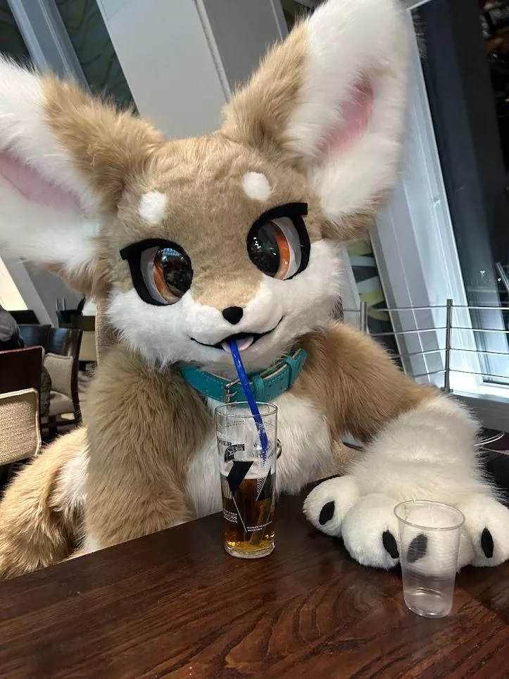 Another drink please bartender! posted by hedonic_waffles