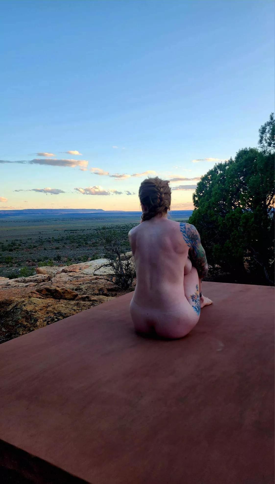 back day posted by ababypinecone