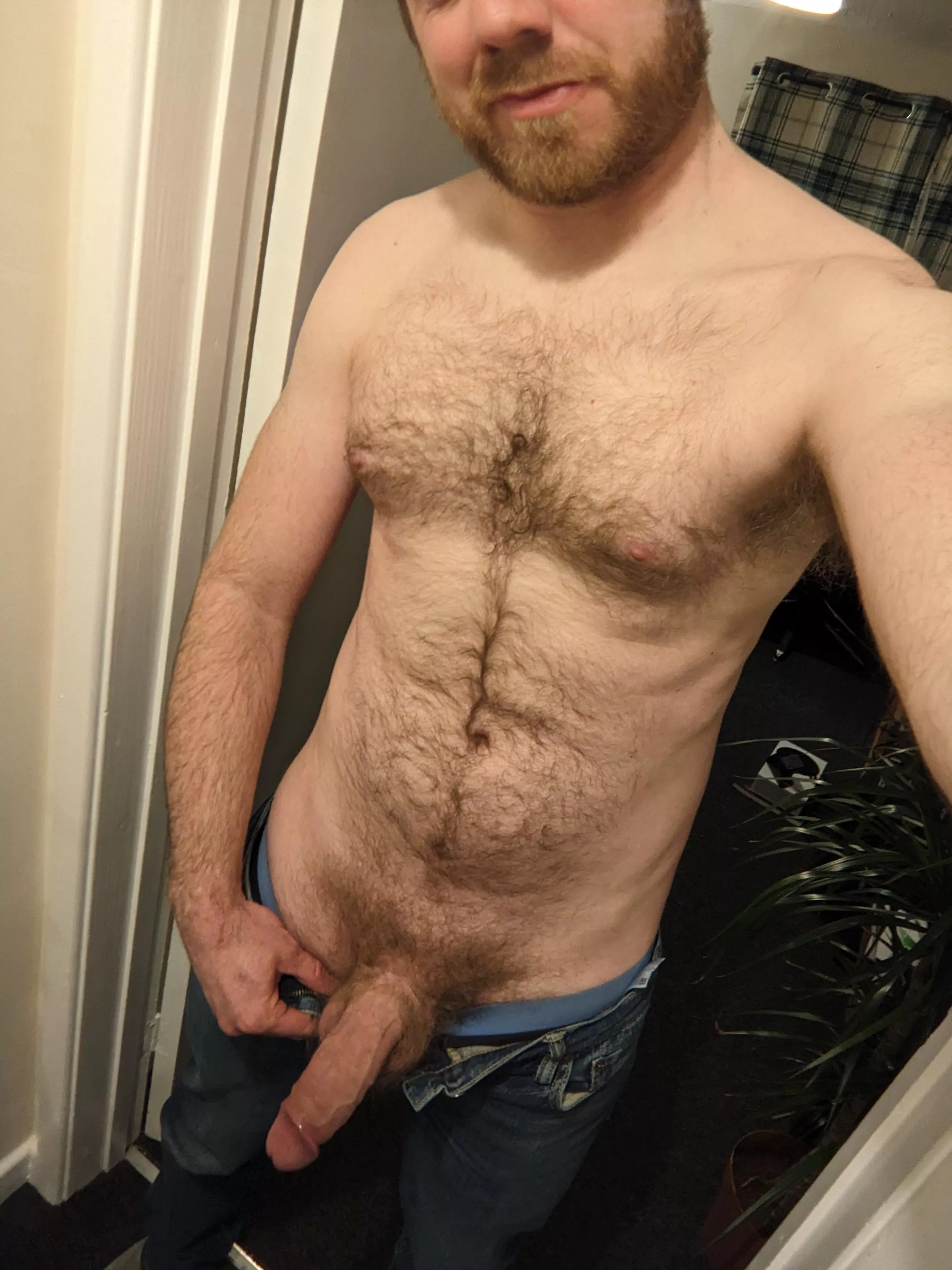 Beard, chest hair and semi :) posted by endlesswave_