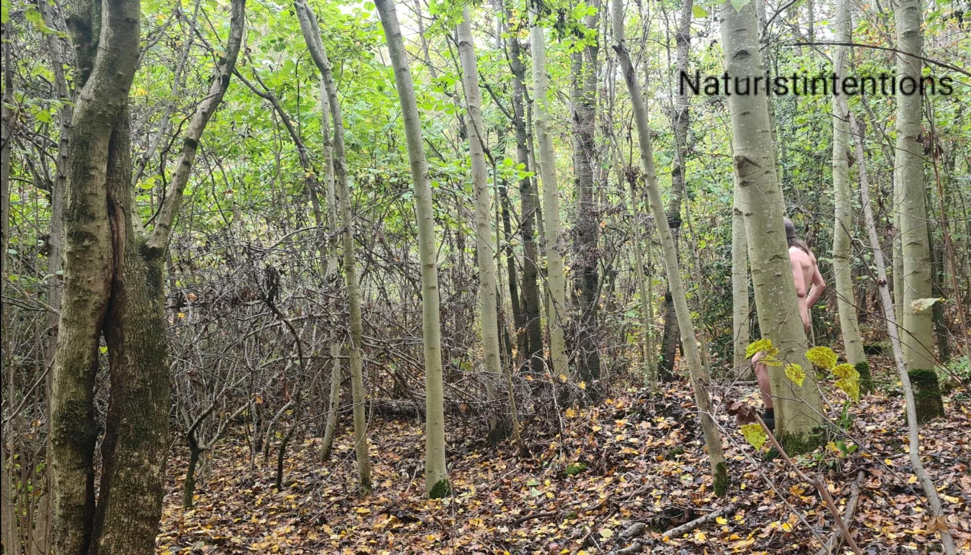 Been a minute, but I'm still out here posted by LongLeggedMackDaddy4