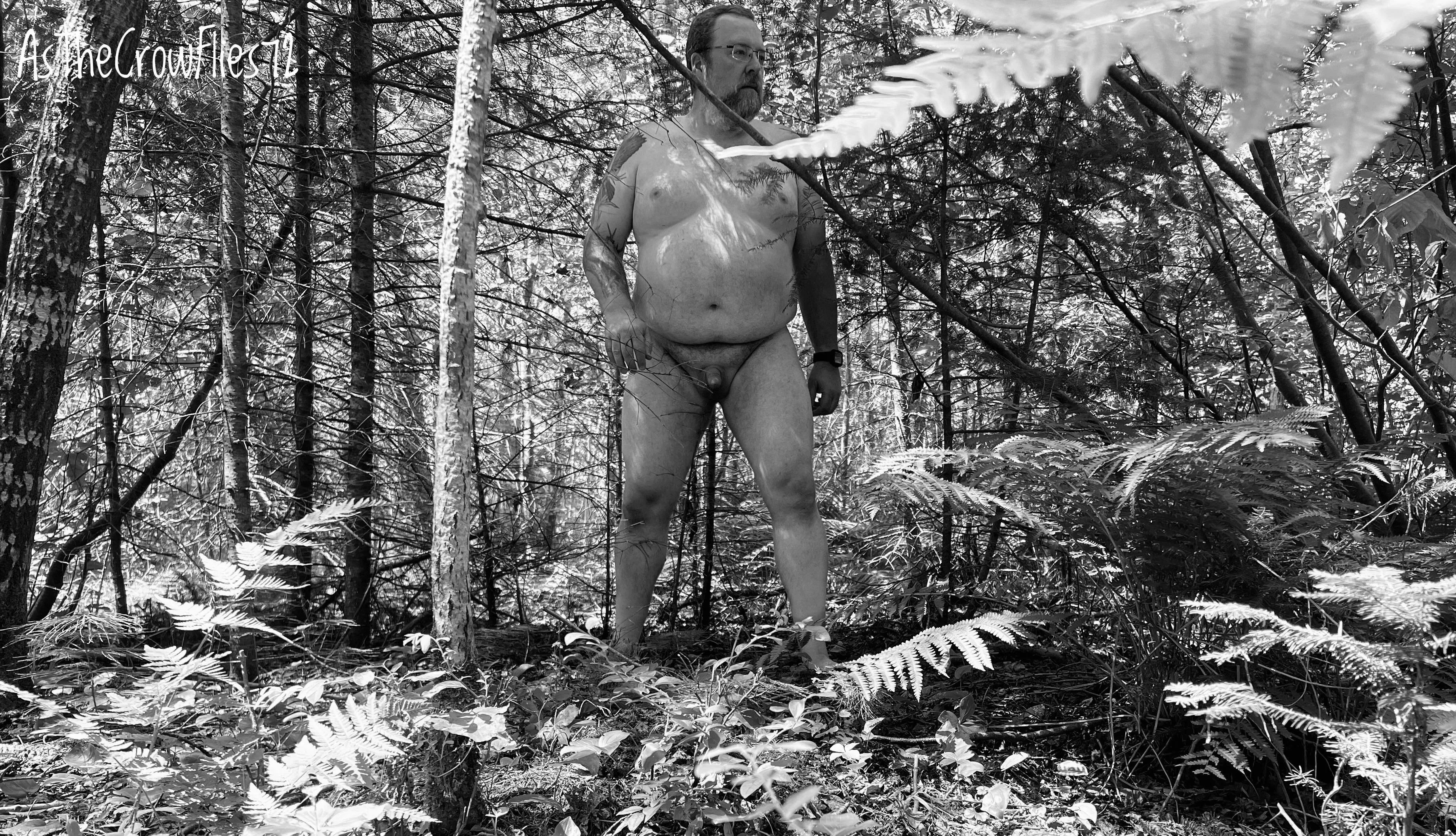 Best way to walk in the woods posted by AsTheCrowFlies72