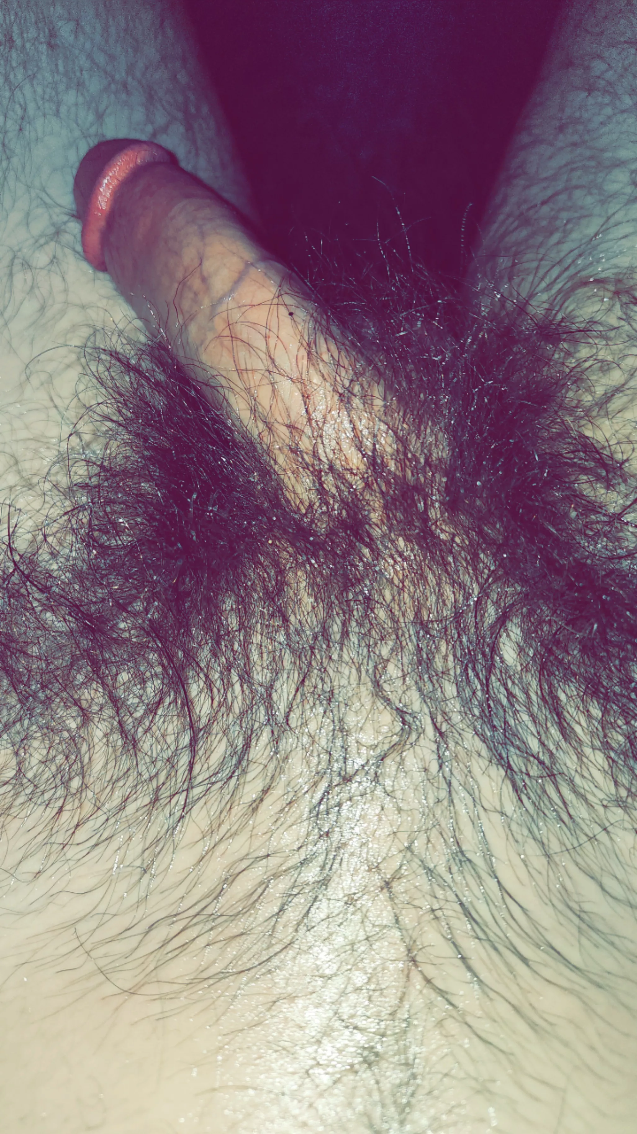 bush up close posted by r2u1w6e