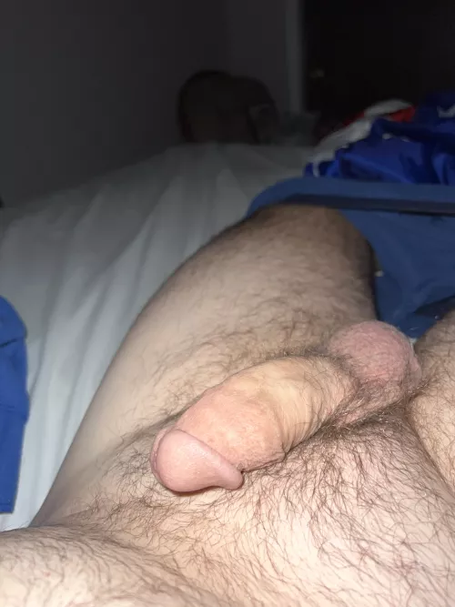 Can you help with my softie? by josef_k_2018