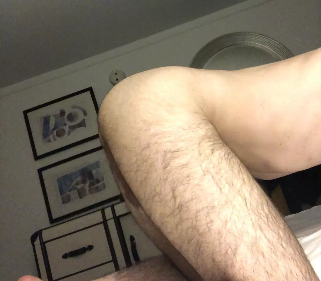 Do bears like otters? posted by sammym9090