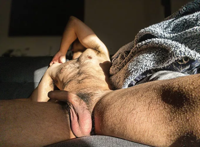 Feel my fur by TurnipEater