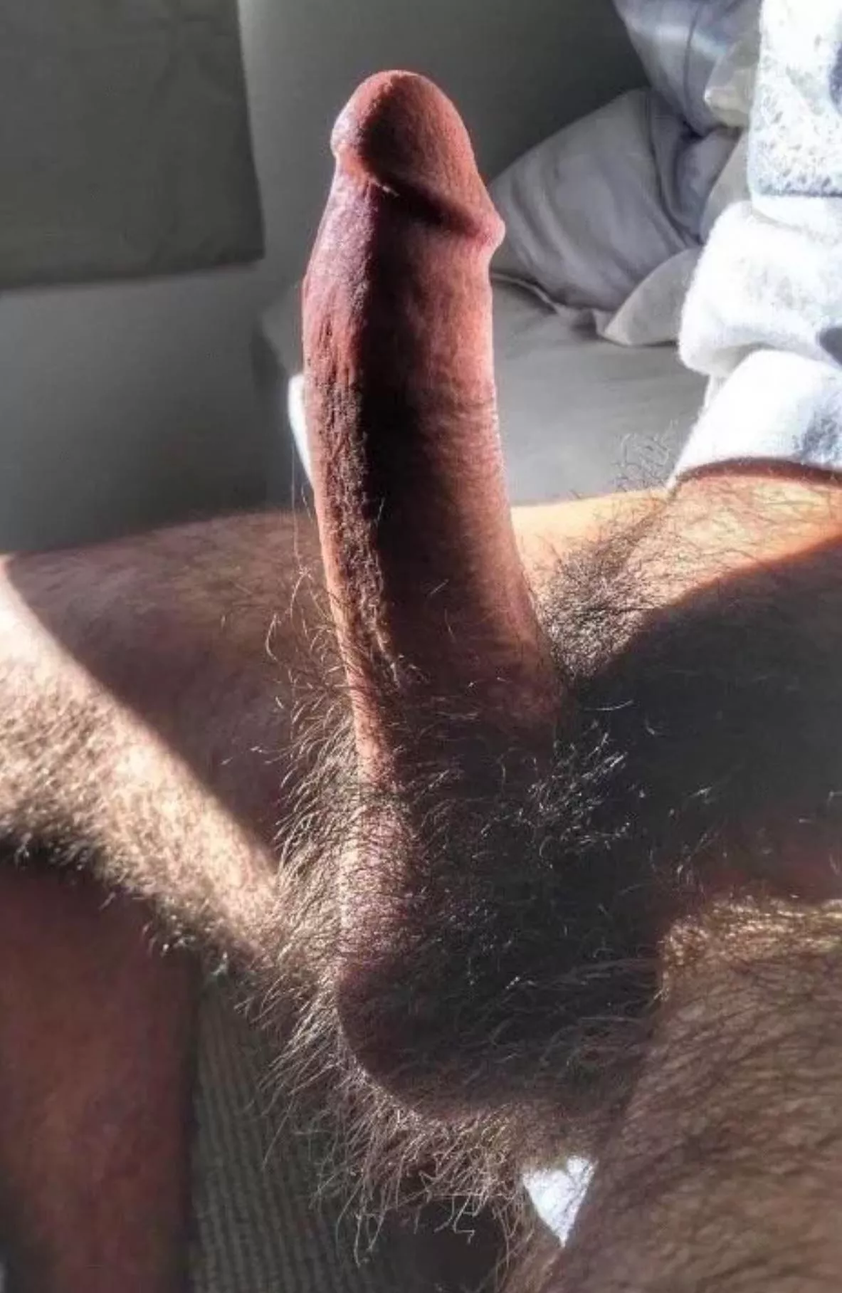 Gay Hairs posted by redithotx3