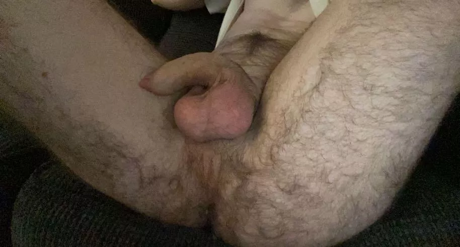 Hairy enough guys? posted by SirDanceAlot22