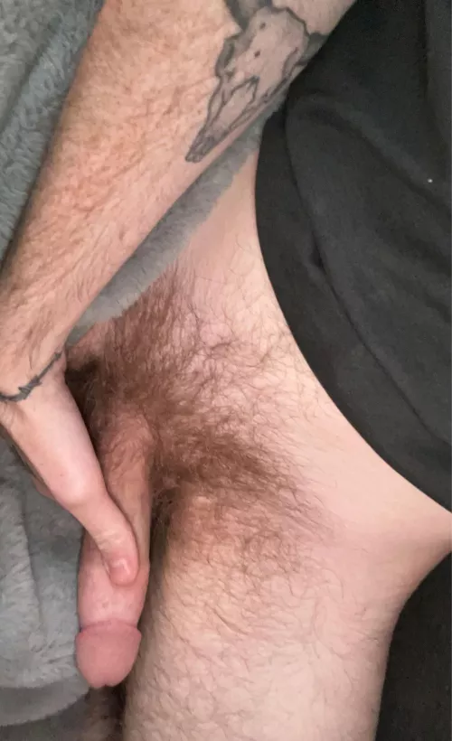 How’s everyone’s night? by Ill_Satisfaction_361