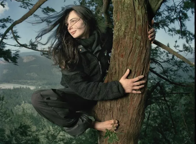 It’s been 23 years since environmental activist Julia “Butterfly” Hill climbed down from a giant 1,000-year-old California redwood tree named Luna, after calling it home for two years by Jose_Canseco_Jr