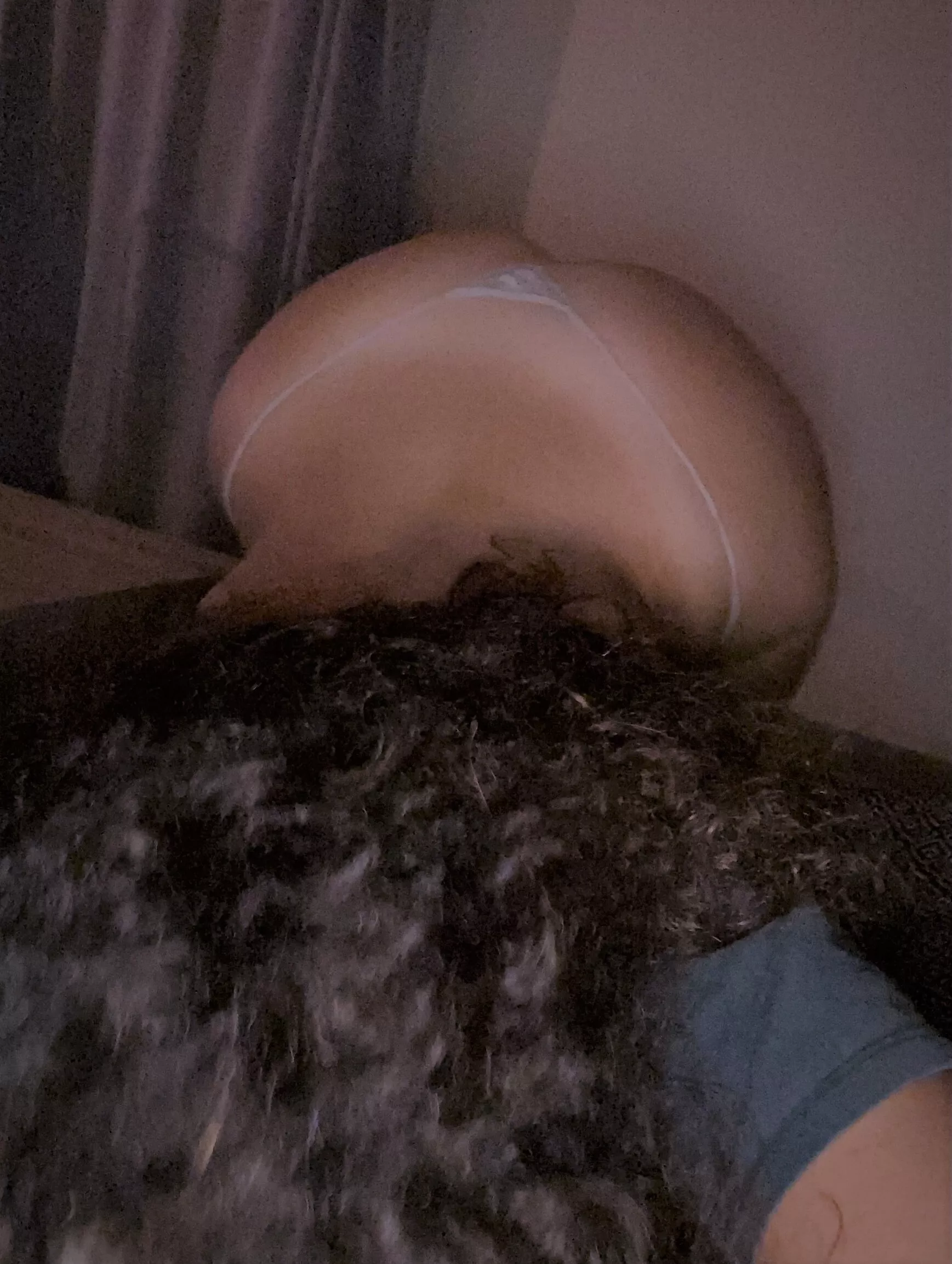 Like my tiny thong daddy? 😈😋 Free OF link in comments 👇 posted by FoxyGirlfriend