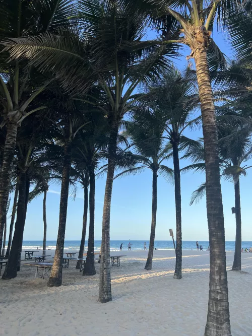 My yard 🌊 by Lety-Santos