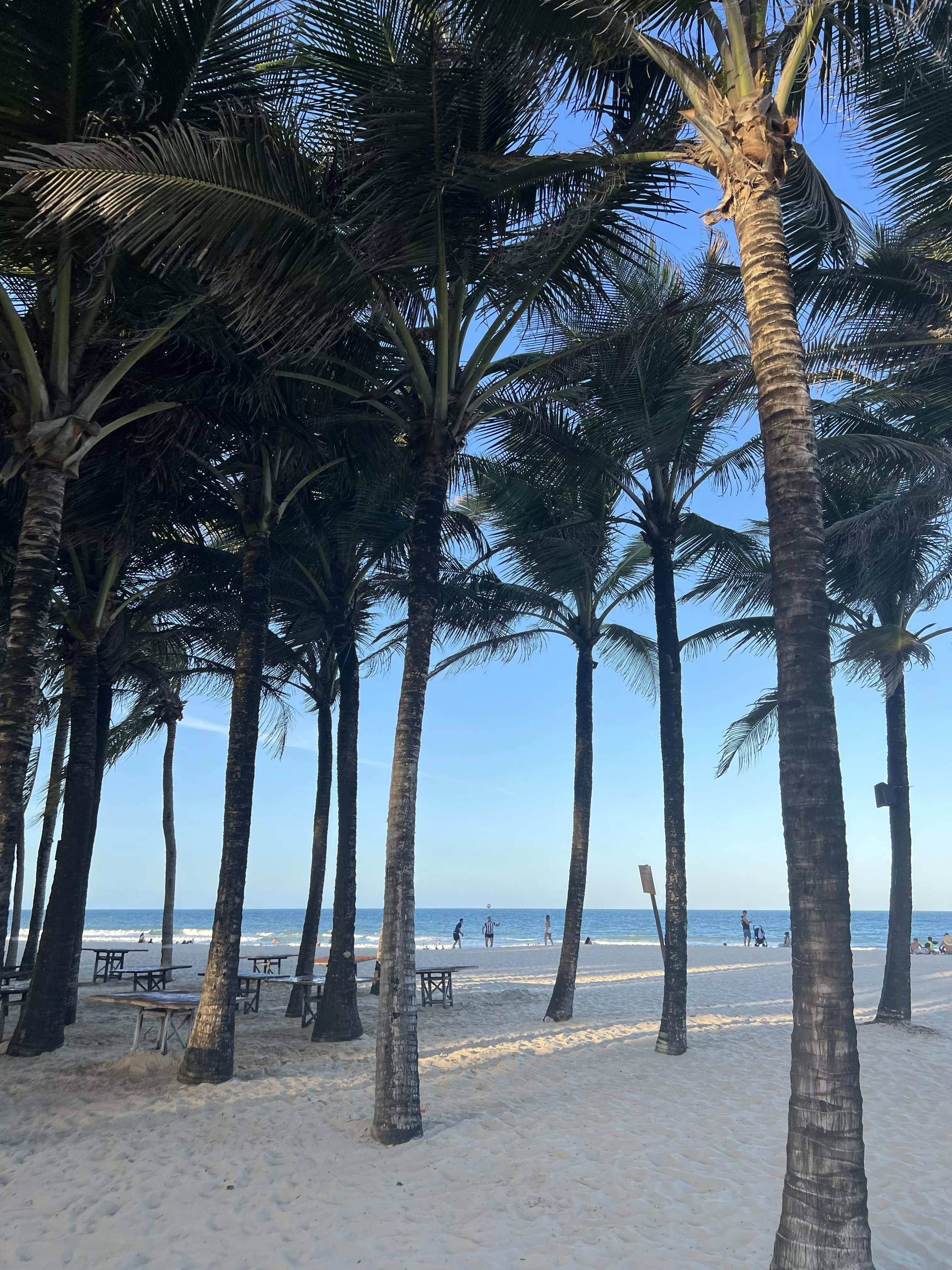 My yard 🌊 posted by Lety-Santos