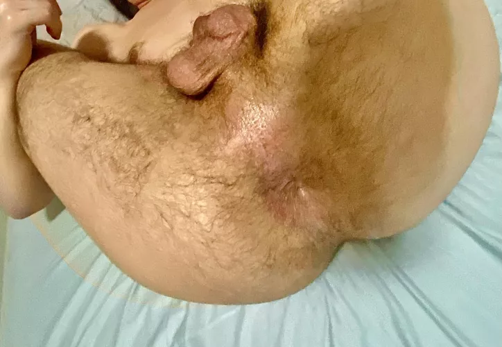 need someone’s cock in my hairy hole by henrybating