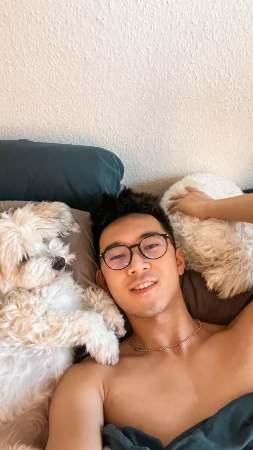 Party time dog dad by _____kev