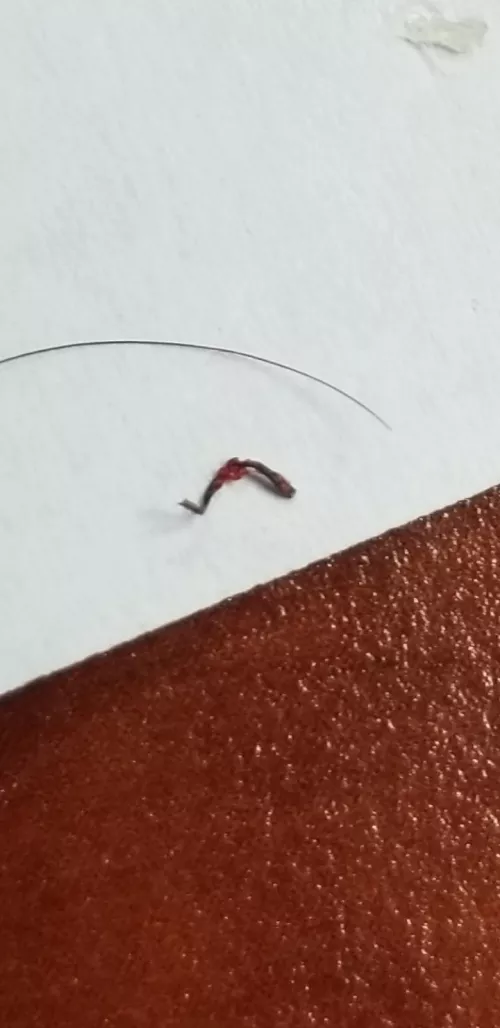 Pulled this mega ingrown hair out of my beard. Normal hair for scale by ChampionshipLife7308