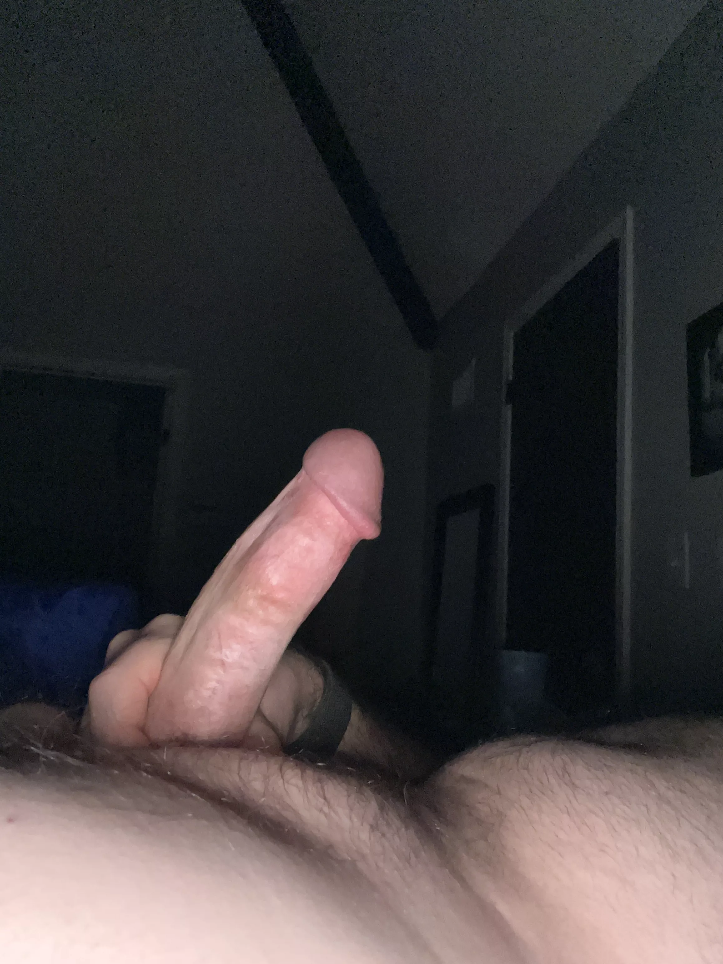 Ready for hump day? (47) posted by josef_k_2018