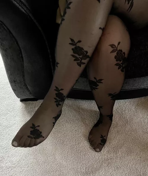 Rose for today by AandT98