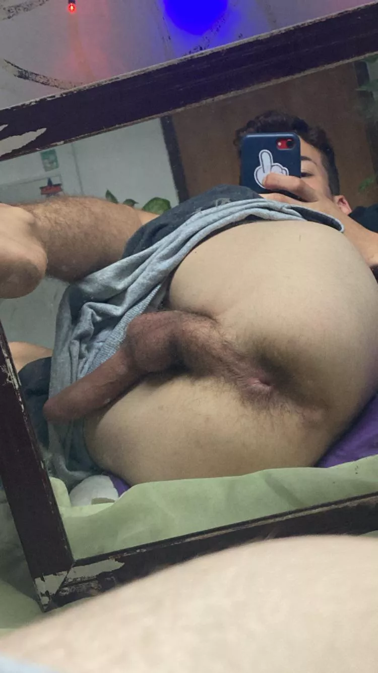 suck my ass 🥺 posted by bruno_breeze