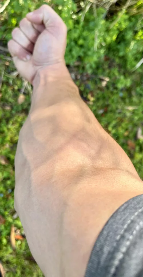 Thought it looked good in the outside lighting 🤷🏻‍♂️ by dm_me_your_planties