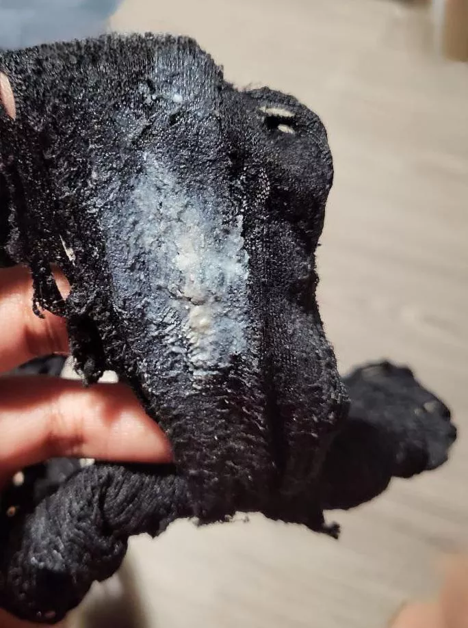 Was super horny today posted by kaly4you