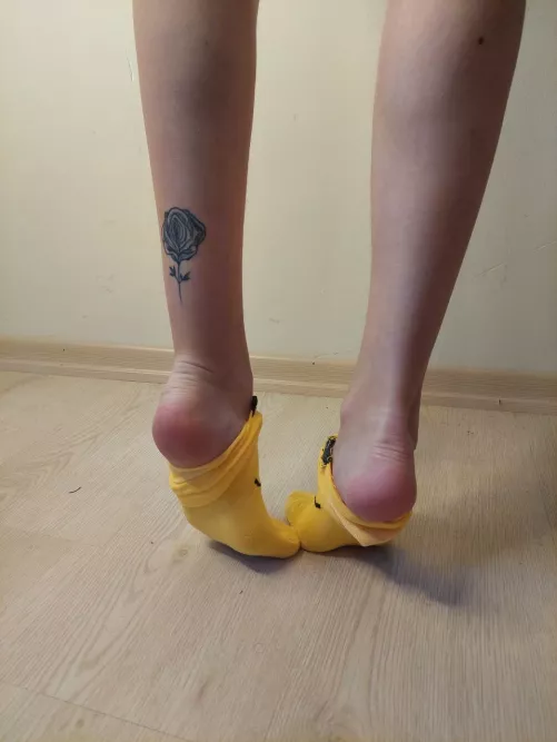 Would you sniff my socks? by yourfairmaid