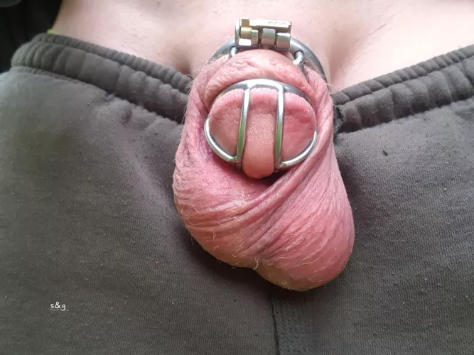 243 day's pussy free by shitsandgigssss