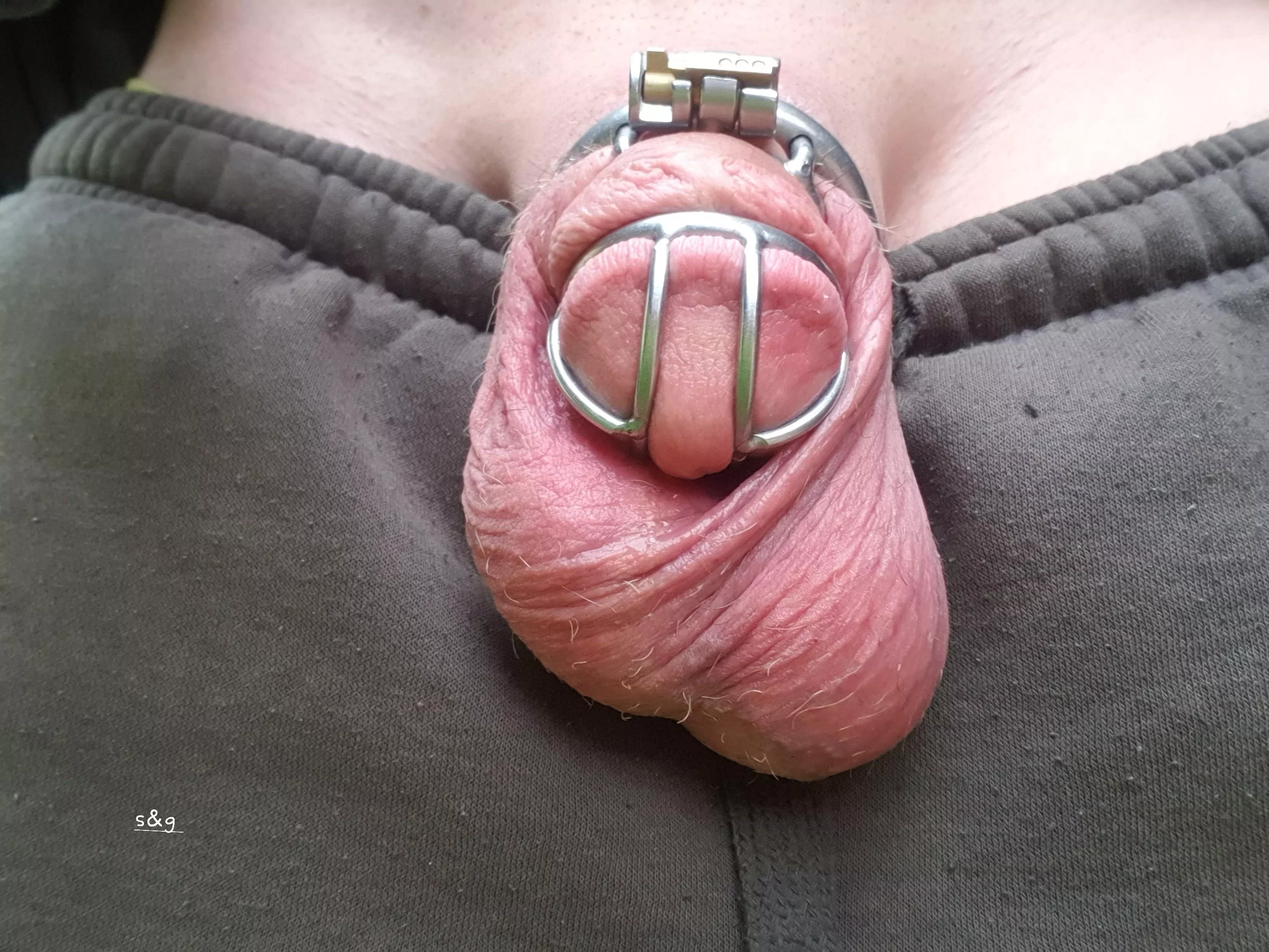 243 day's pussy free posted by shitsandgigssss