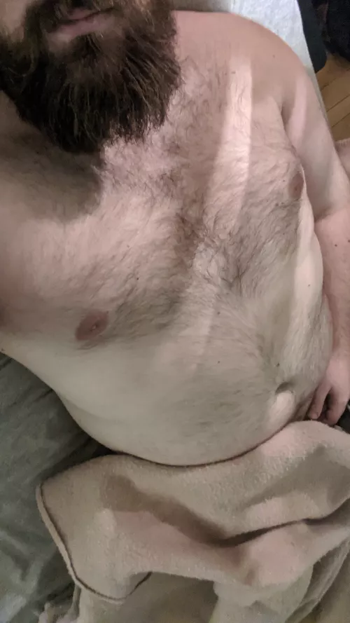 28 big fat bear, SC junutts by idontagree66