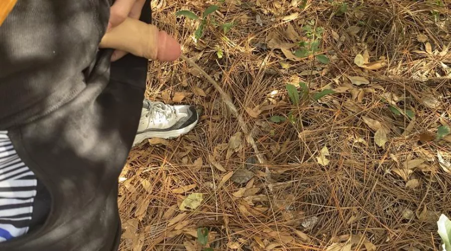 A quick leak on the trail by Modernlifeisrubbish_