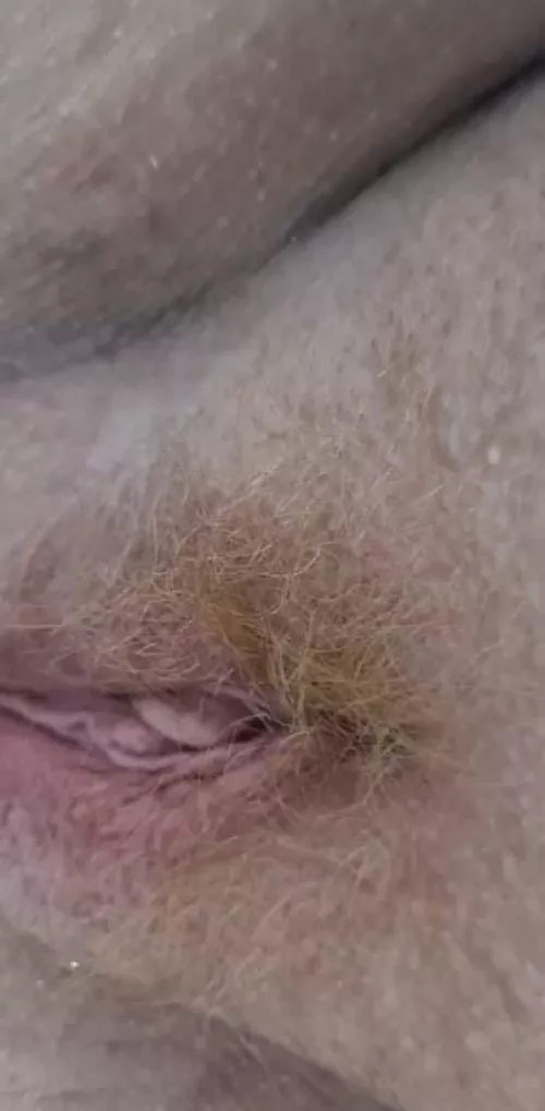 A sweet ginger pussy waiting for someone by Dependent_One_6440