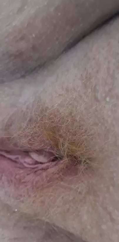 A sweet ginger pussy waiting for someone posted by Dependent_One_6440