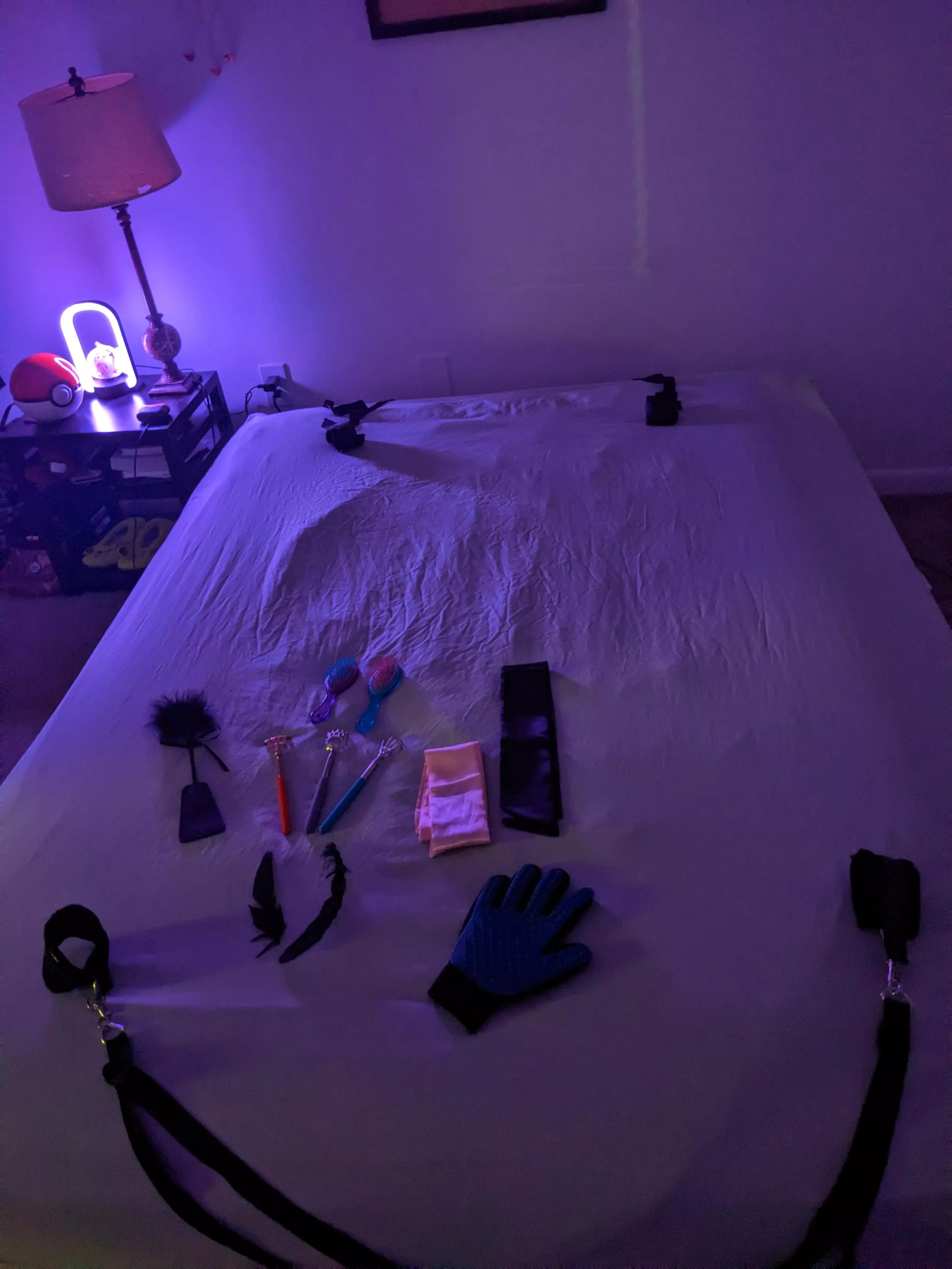 Can't believe I have a real setup now 😈😻 posted by DovahKatiee