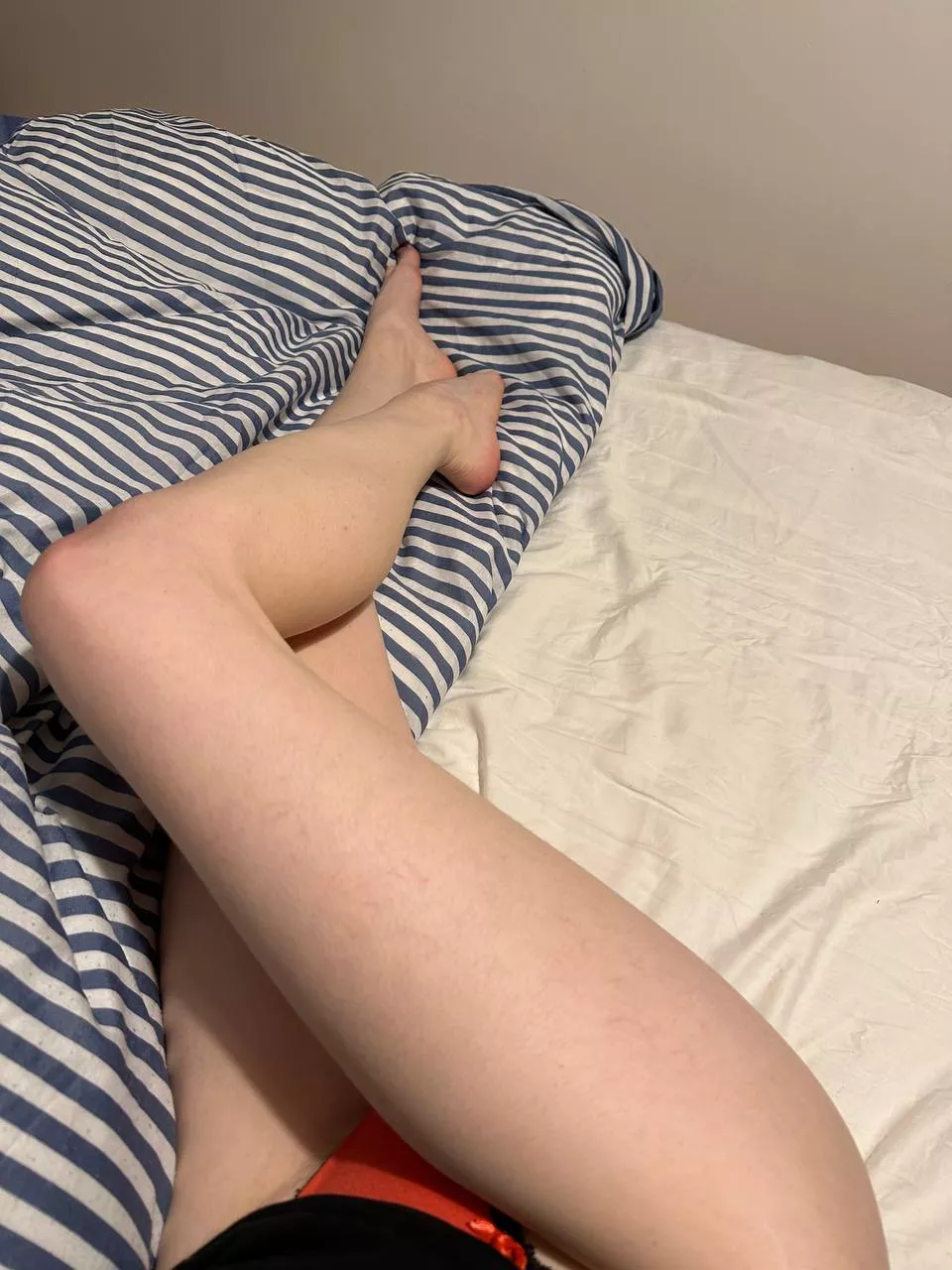 Hey, I lost my teddy bear... Can I please cuddle with you tonight posted by gorodru