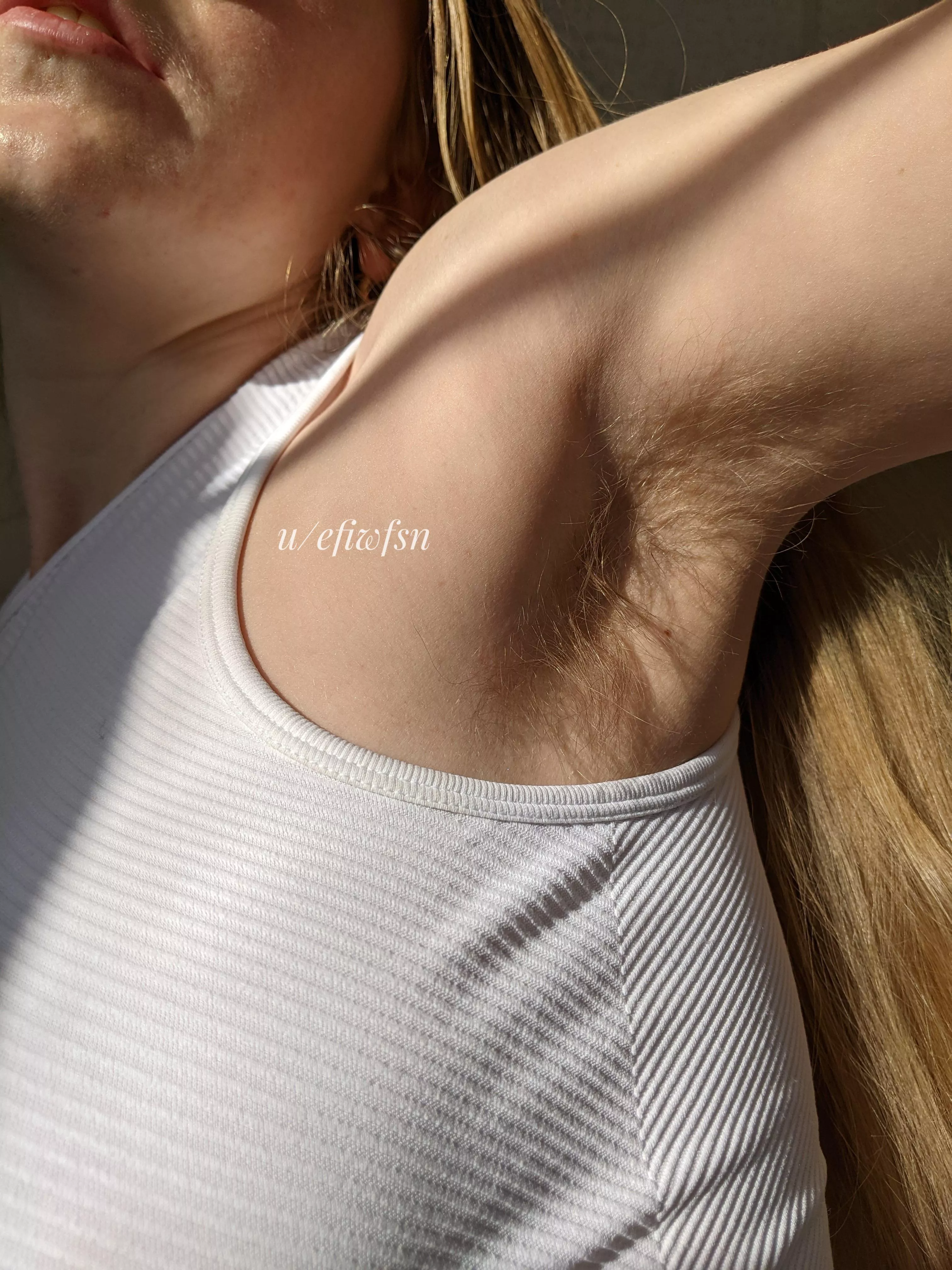 I love the way my fuzzy pits look in the sun posted by efiwfsn