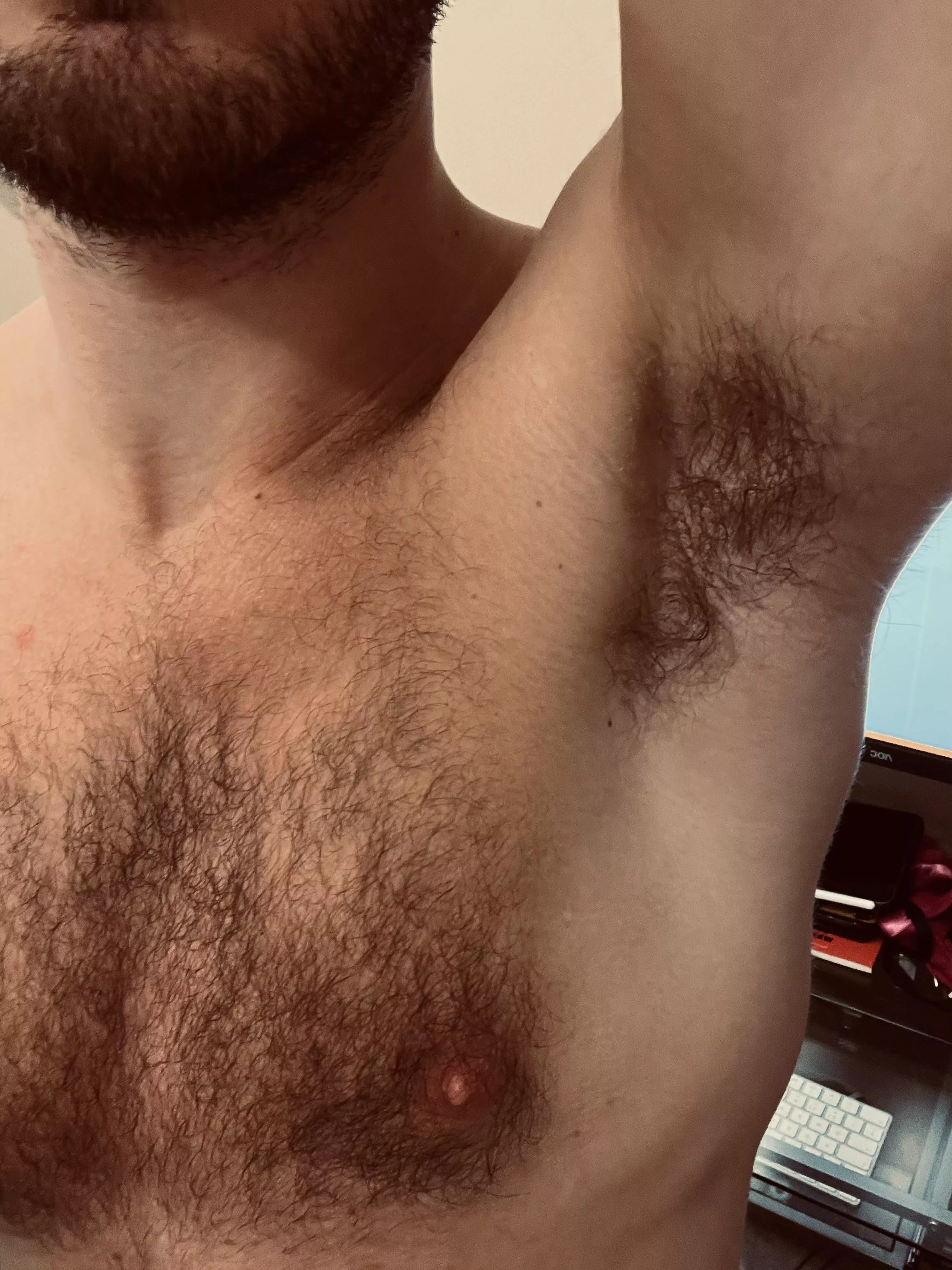 Lick or sniff? posted by wi5e5tliar5