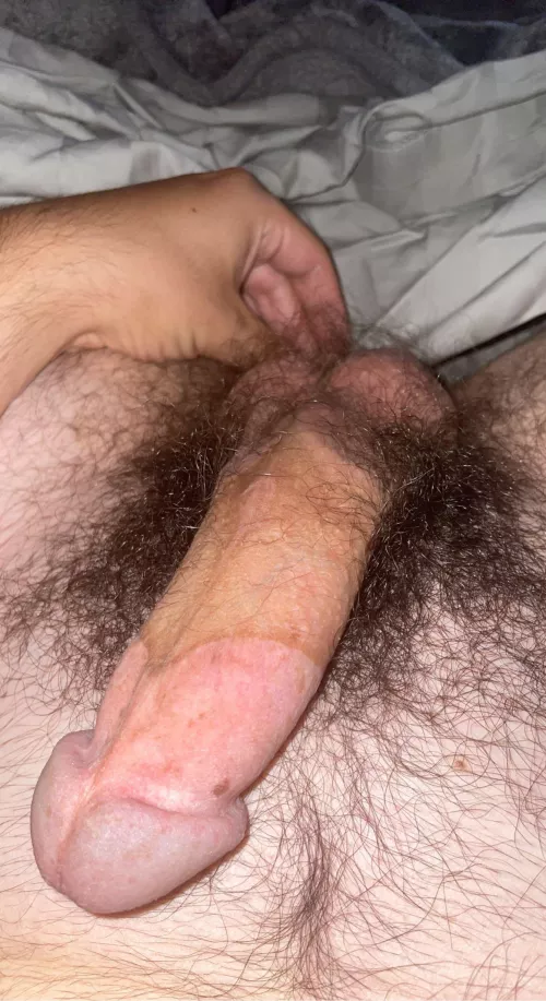 Musky bush by bushlvr23