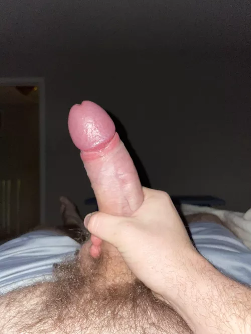 Really wish someone that lived around me could just help me take care of this 😉 by Potato_man65