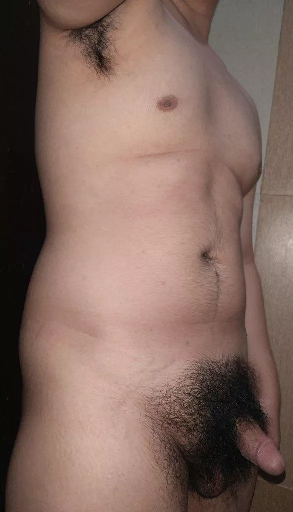 should i trim it or let it grow? posted by BearBlastoise009