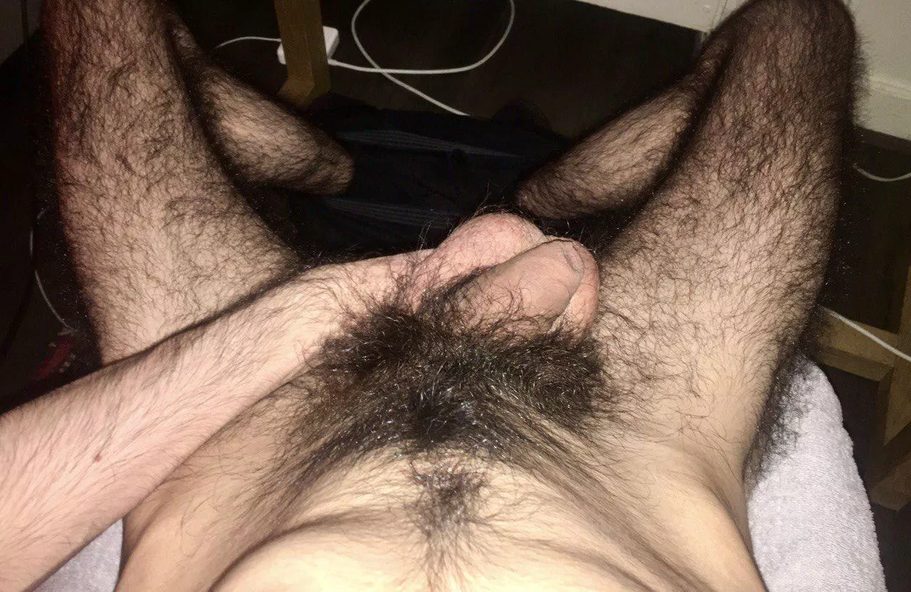 There's no such thing as too much hair, right? posted by EverlastingEdgar