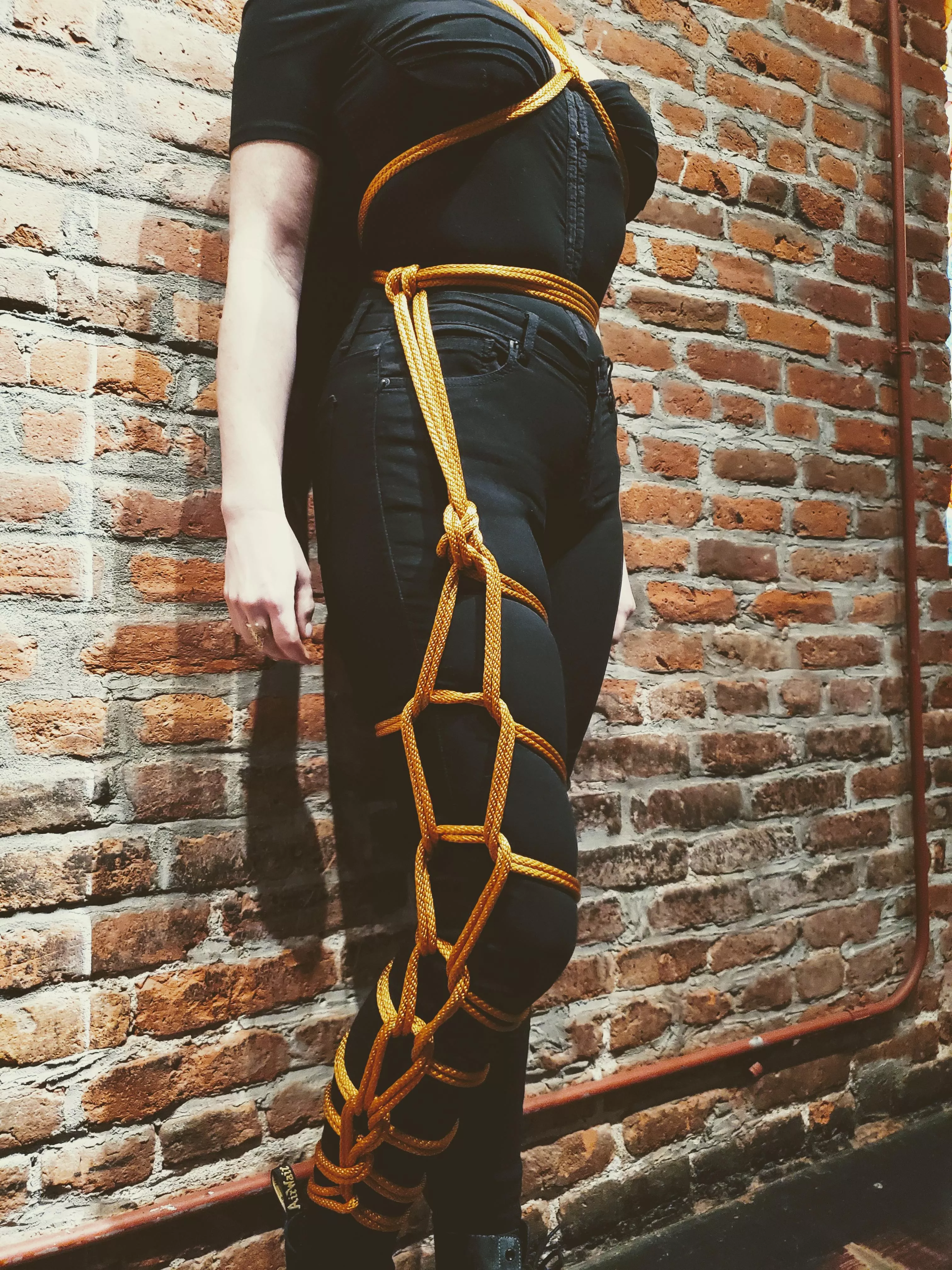 Tie me up and show me off posted by bonus_action_panic