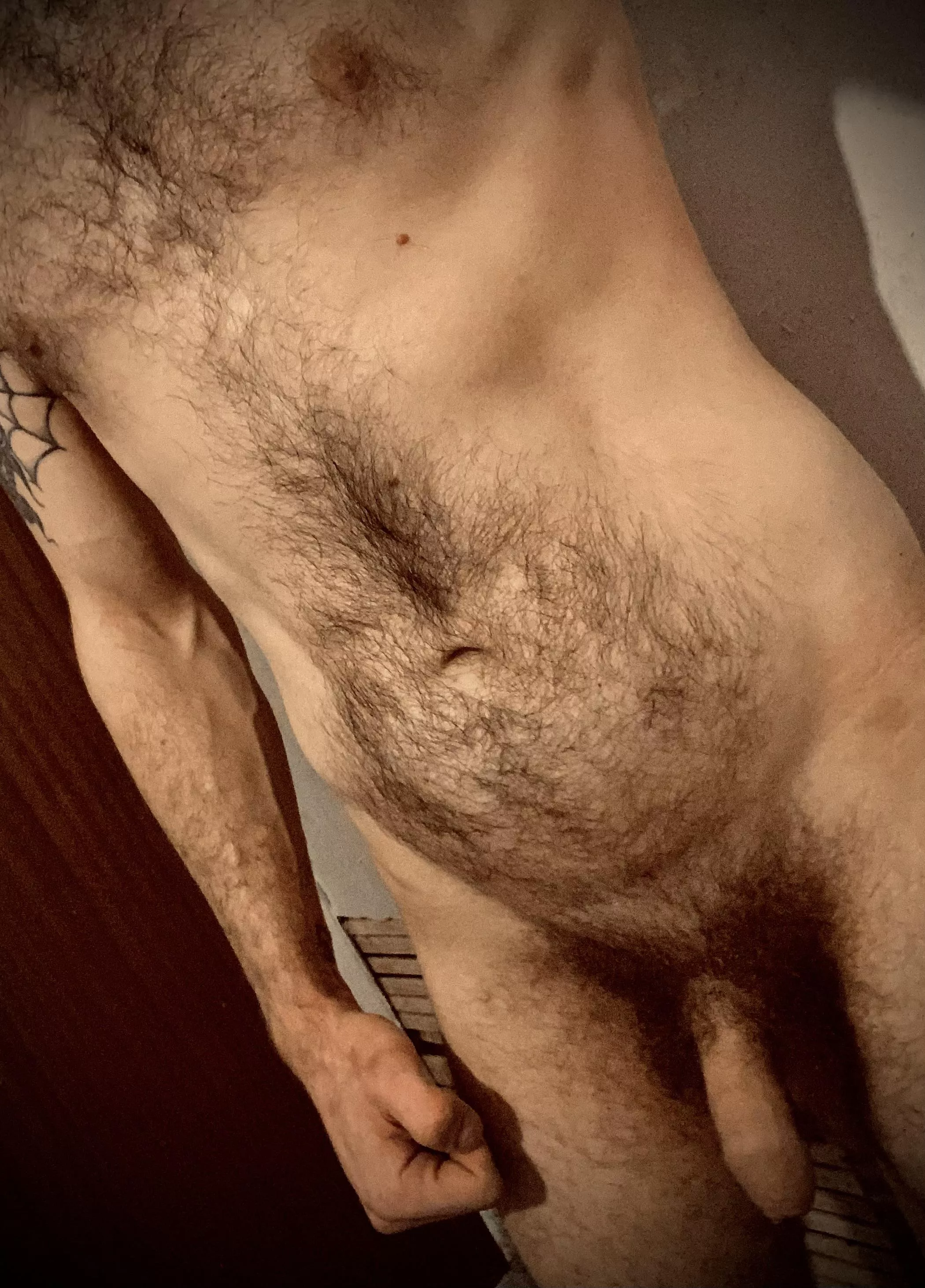 Well, I guess one good thing about doing a renovation yourself is you don’t need a gym! posted by richpics