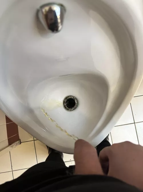 Who wants a taste? Lick the urinal after I’m done! by General-Anywhere-623